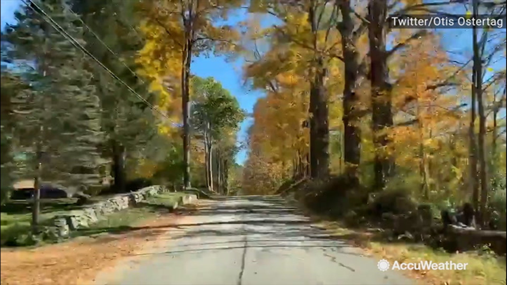 Is there nothing better than a driving through multi-colored trees on a nice fall day? I don't think there is, and I'm sure Otis Ostertag on Twitter would agree. We give him thanks for providing us with this video from East Kingston, New Hampshire, on Oct. 15.