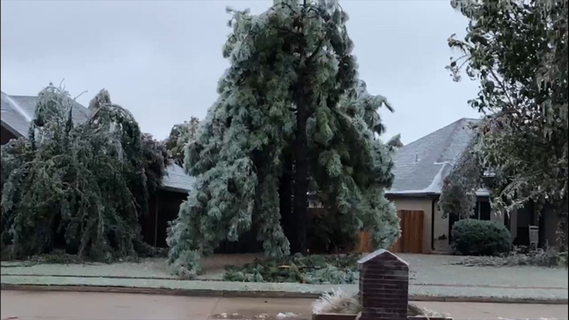 Ice weighed down on trees in this neighborhood in Mustang, Oklahoma, on Oct. 28. The weight was too much to bear as many trees collapsed causing damage.