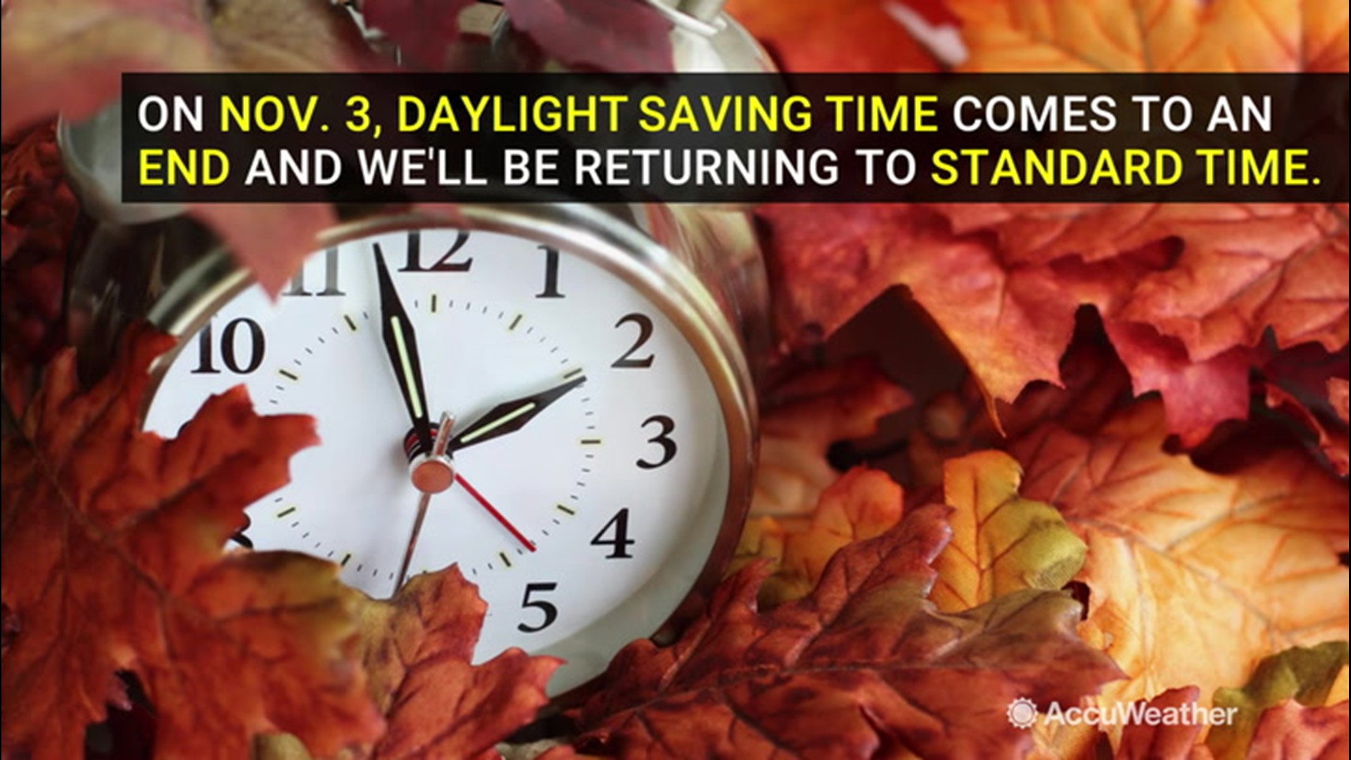 It's that time of year again. Fall back one hour on Nov. 3 as daylight saving time comes to an end and we return to standard time.