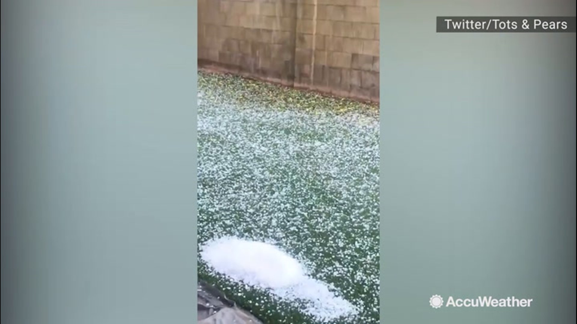 This is what this yard in Gilbert, Arizona, looks like after just 10 minutes of hail on Dec. 9. What a mess the storm left behind.