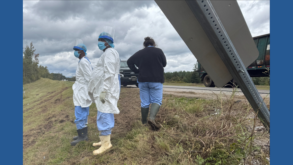 Mississippi mother kills escaped monkey fearing for her children's ...