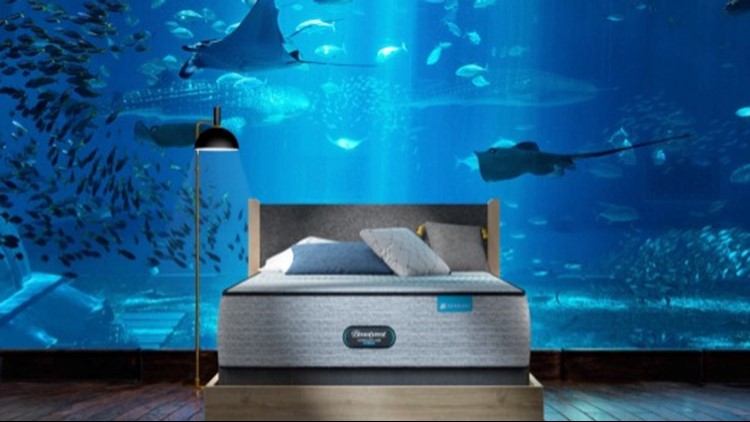 Ever Wonder What It's Like to Spend The Night Under the Sea?