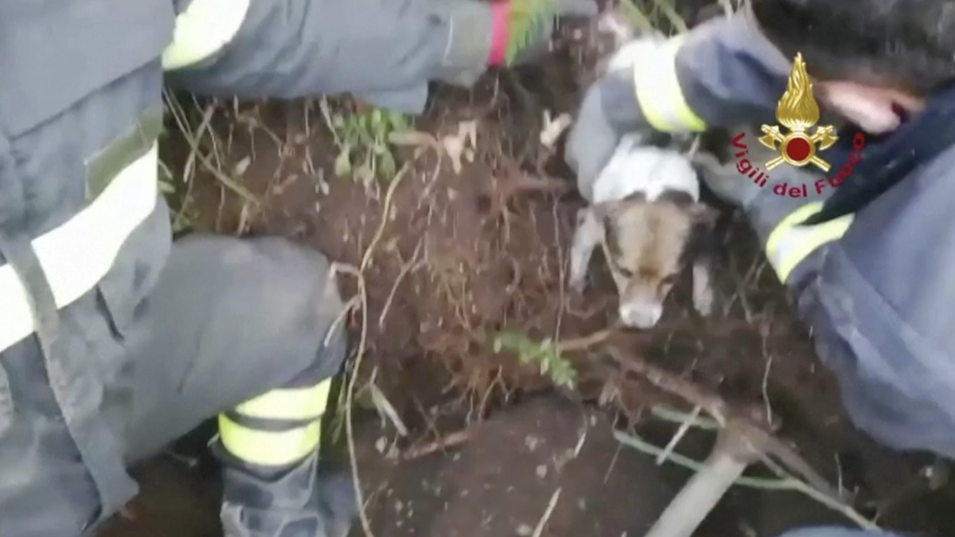 Toledo News Weather Traffic And Sports Toledo Ohio Wtol Com Wtol Com