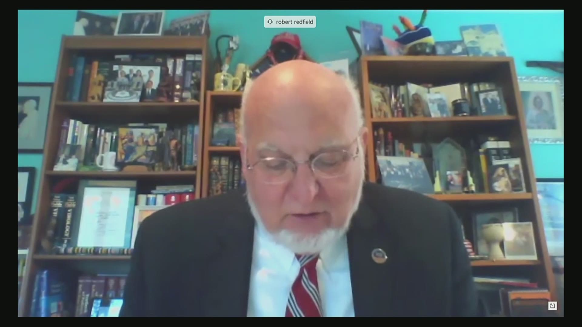 CDC Director Robert Redfield told a Senate committee that the CDC's role in testing and contact tracing with local governments is crucial to reopening in the US.