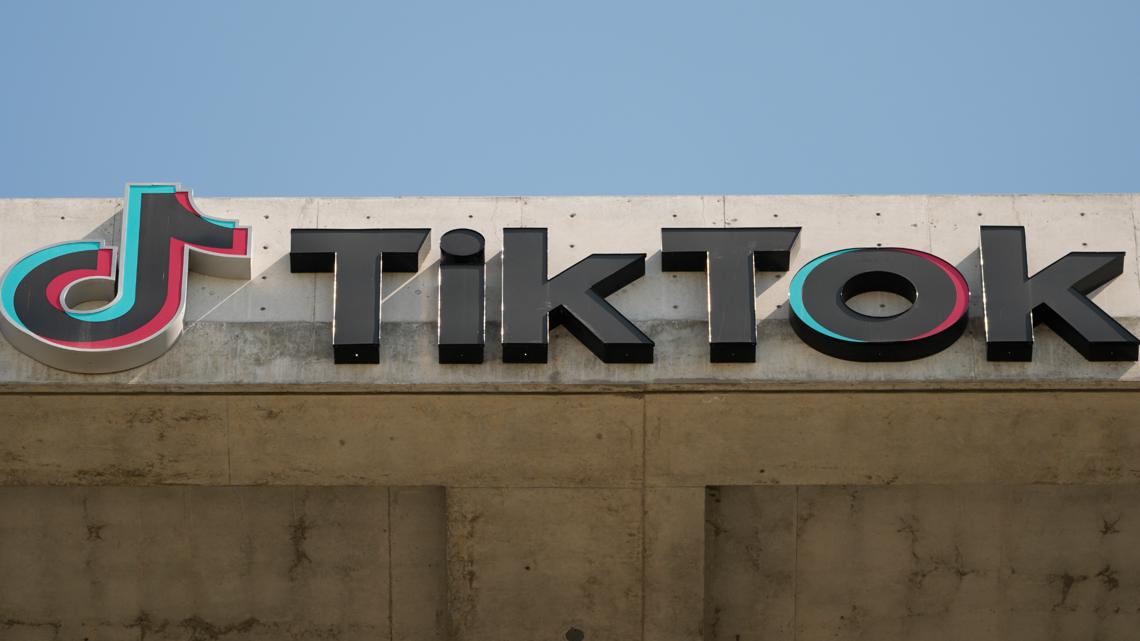 TikTok pushes again in opposition to US authorities because it fights pressured sale