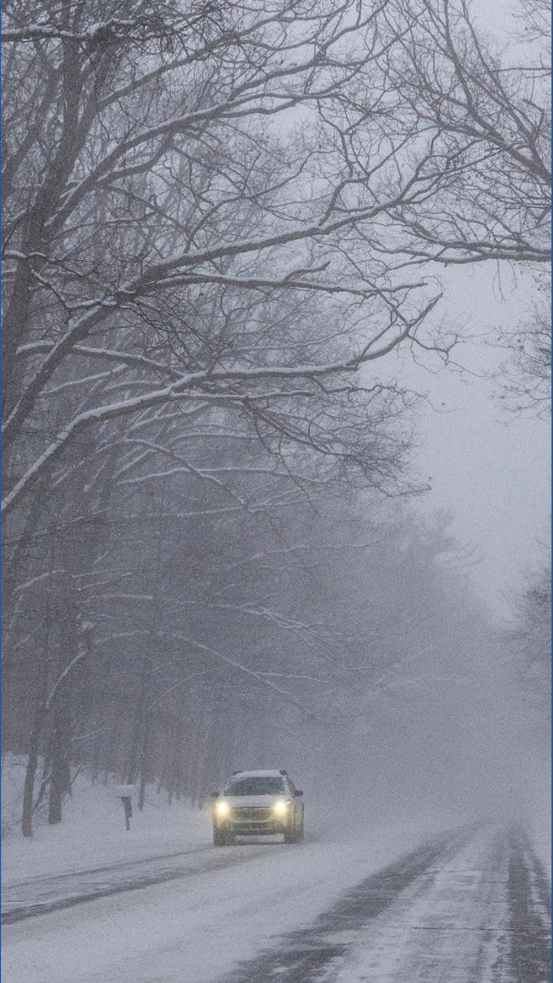 Exploding Tree Ristk Can trees 'explode' during winter weather? | wtol.com