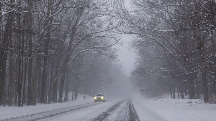 Exploting Tree Can trees 'explode' during winter weather? | wtol.com