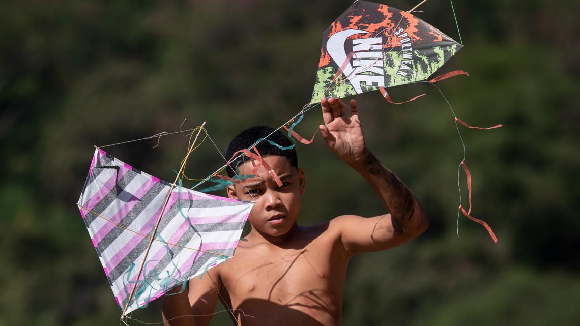 Brazil eyes ban for lethal preventing kites