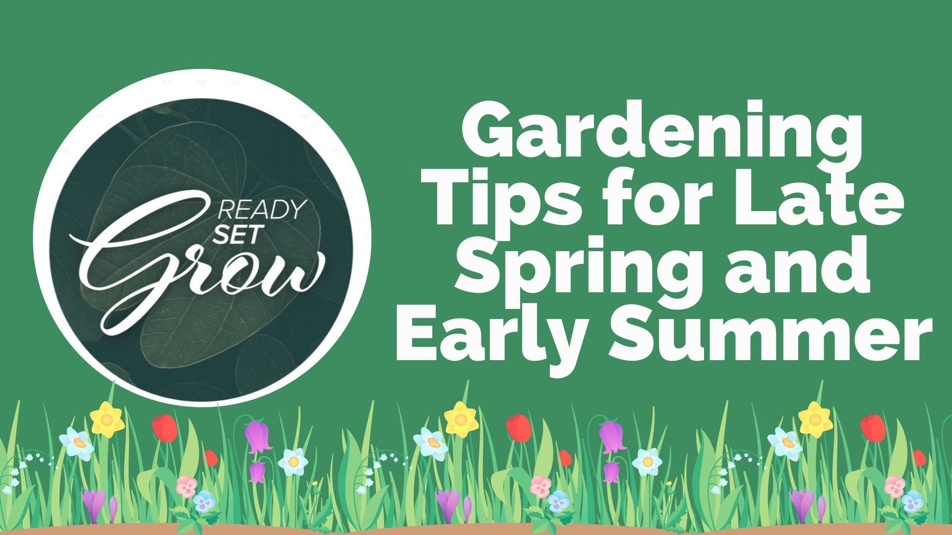 It's the best time for gardeners! Tips on what to plant now in early spring or late summer and how to keep wildlife out of your garden.