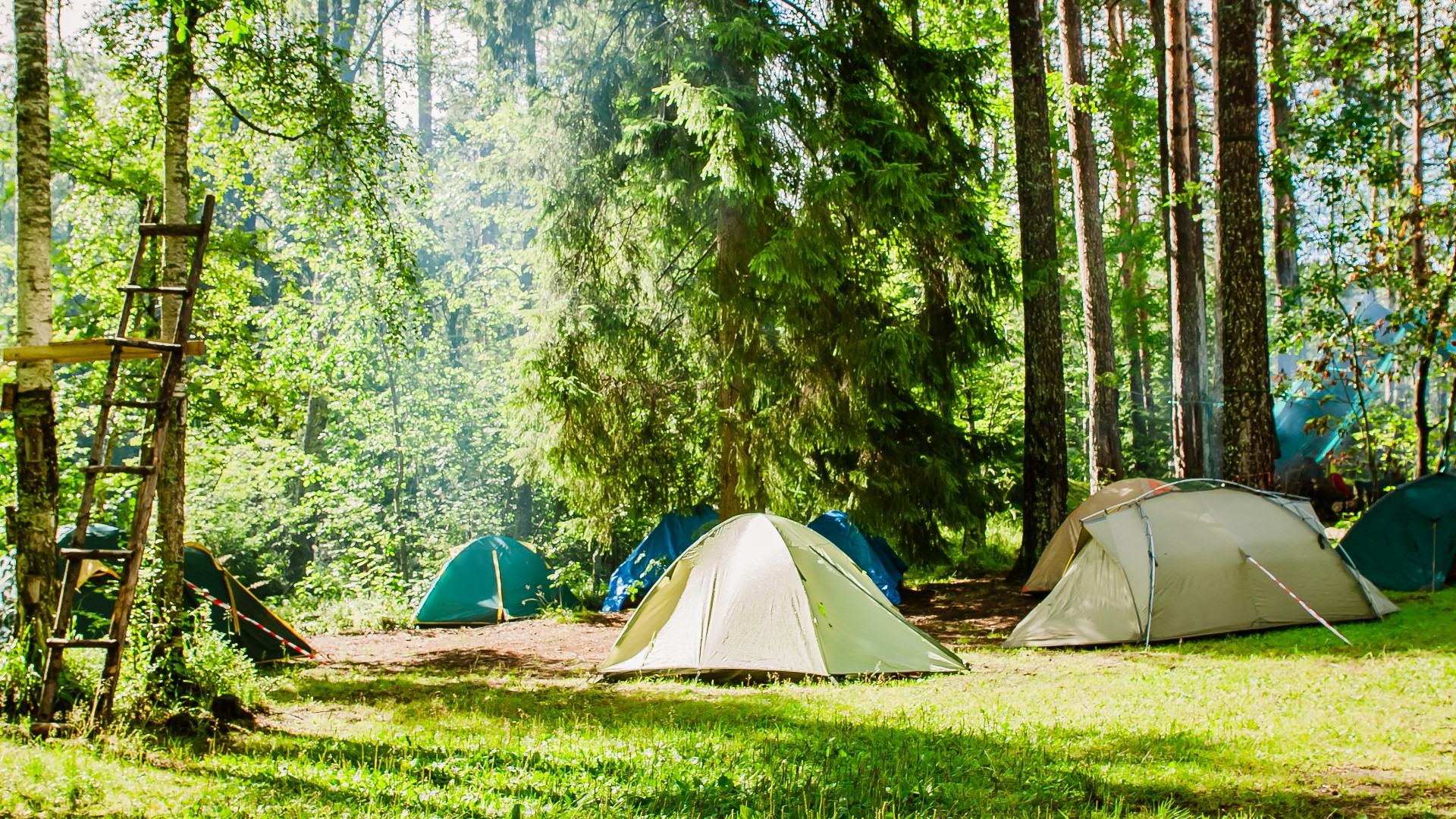 Michigan to increase fees for camping, overnight lodging at state parks ...