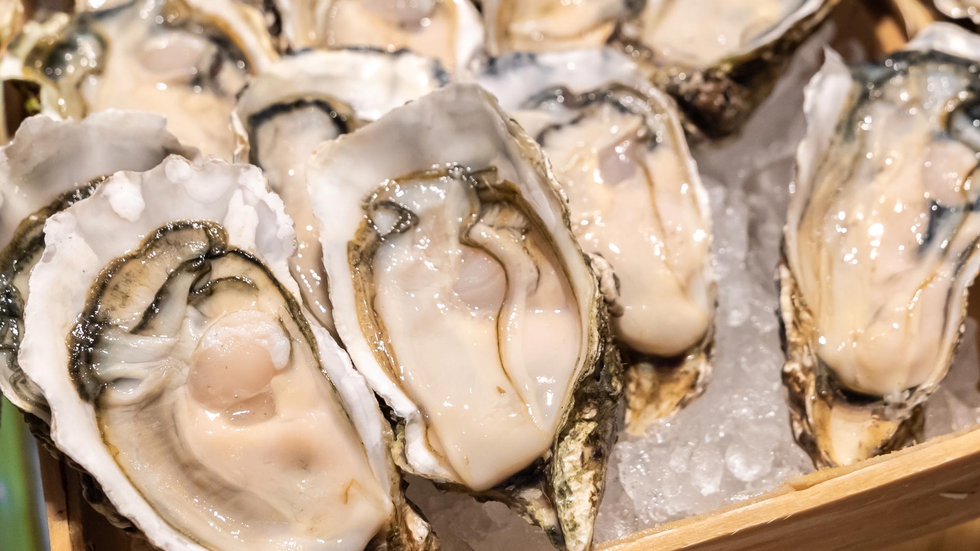 Oysters and clams potentially contaminated with norovirus recalled in 9 ...