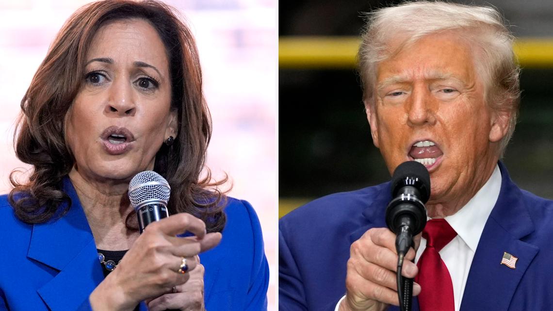Trump, Harris debate a significant take a look at for each candidates
