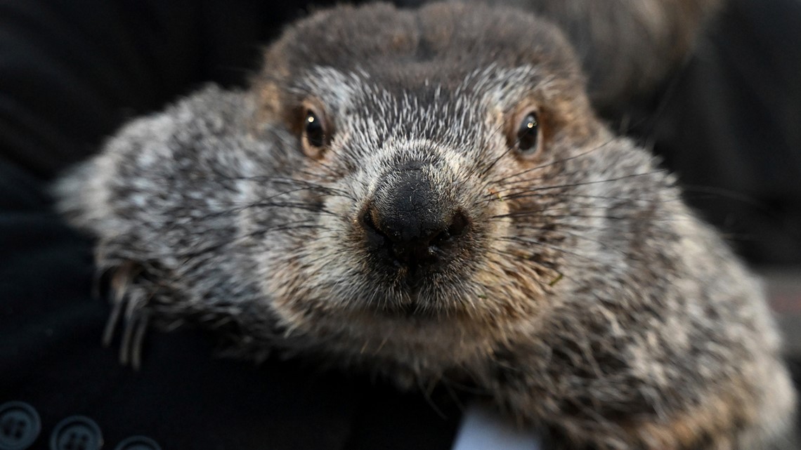 Groundhog Day 2024: Did Punxsutawney Phil see his shadow?