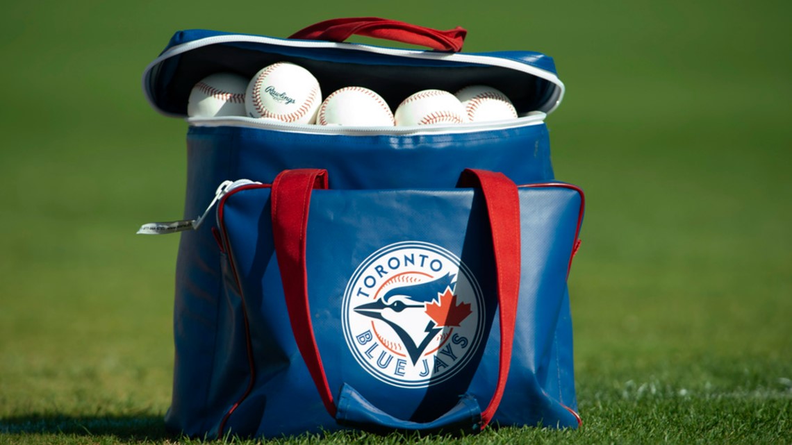 Minor leaguers reach labor deal with MLB: Source - Vimarsana News