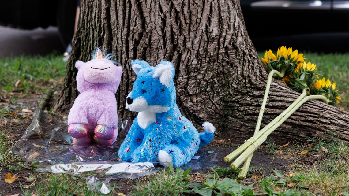 9-year-old girl fatally shot in head in Chicago; gunman arrested