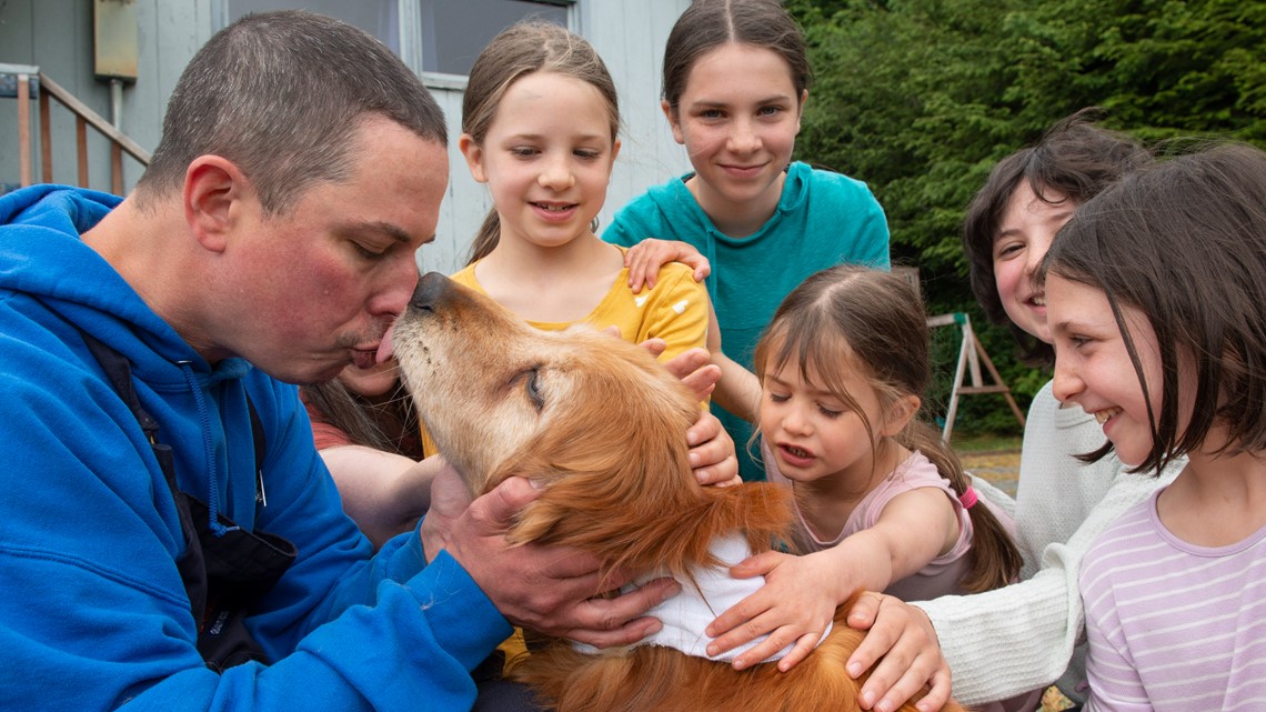 Blind canine discovered weeks after disappearing in Alaska Blind canine discovered weeks after disappearing in Alaska