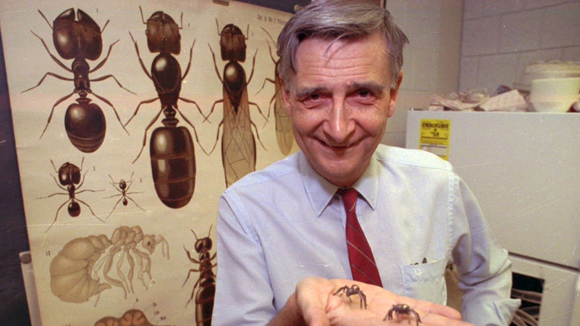 Biologist known as 'ant man,' Edward O. Wilson, dead at 92 - Vimarsana News