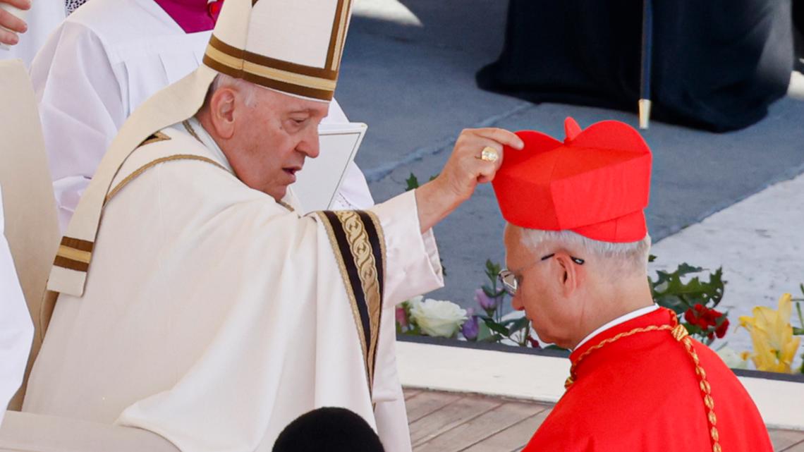 Who would be the subsequent pope? Meet a few of the cardinals thought of prime contenders