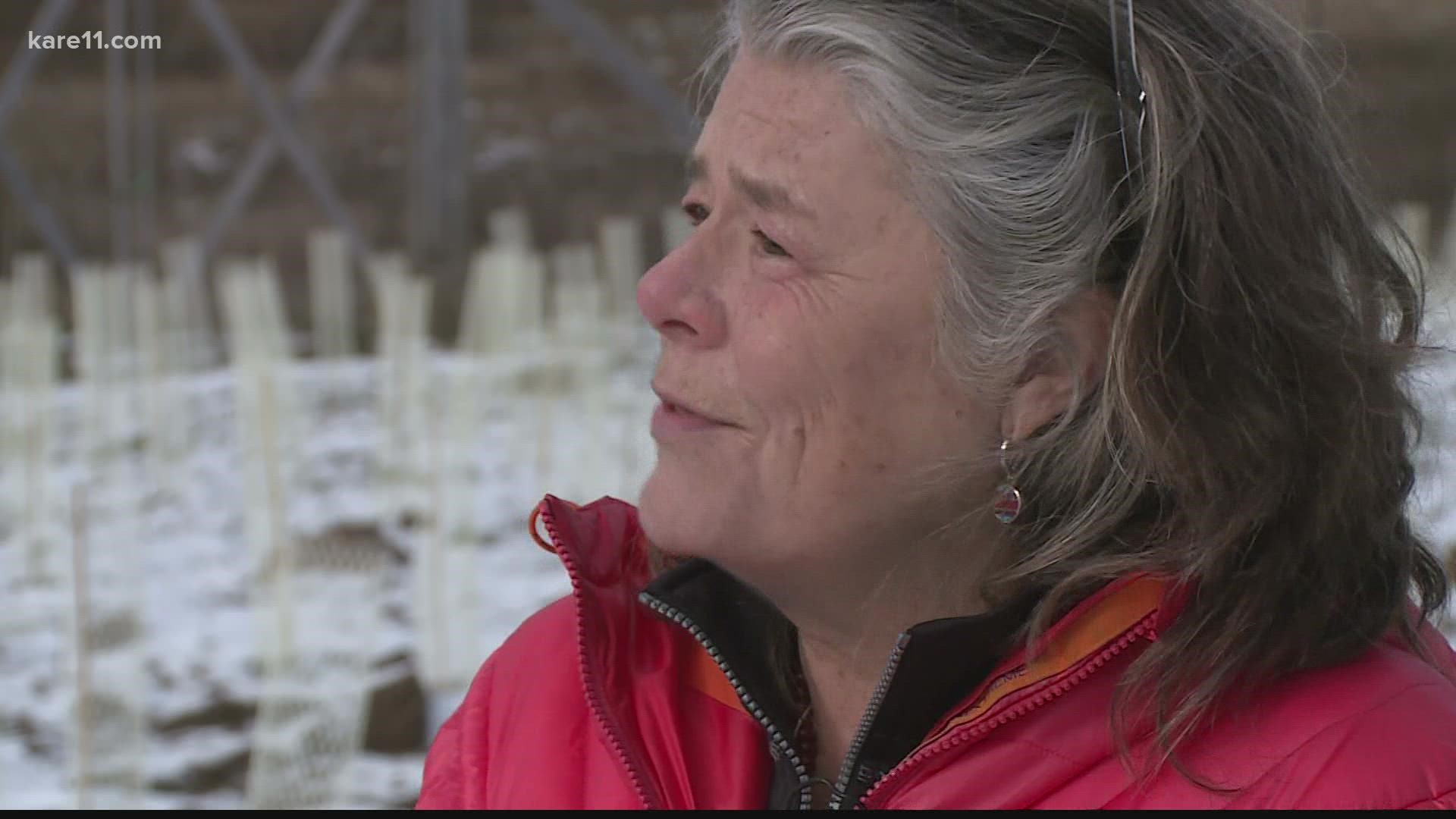 The University of Minnesota Duluth is growing red oak trees through the Forest Assisted Migration Project, hoping to keep our state's forests healthy.