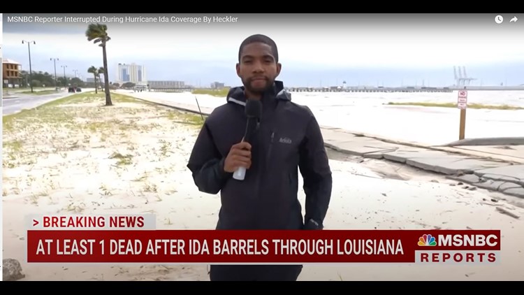 'Wacky guy' bombards MSNBC reporter live on air during Hurricane Ida coverage