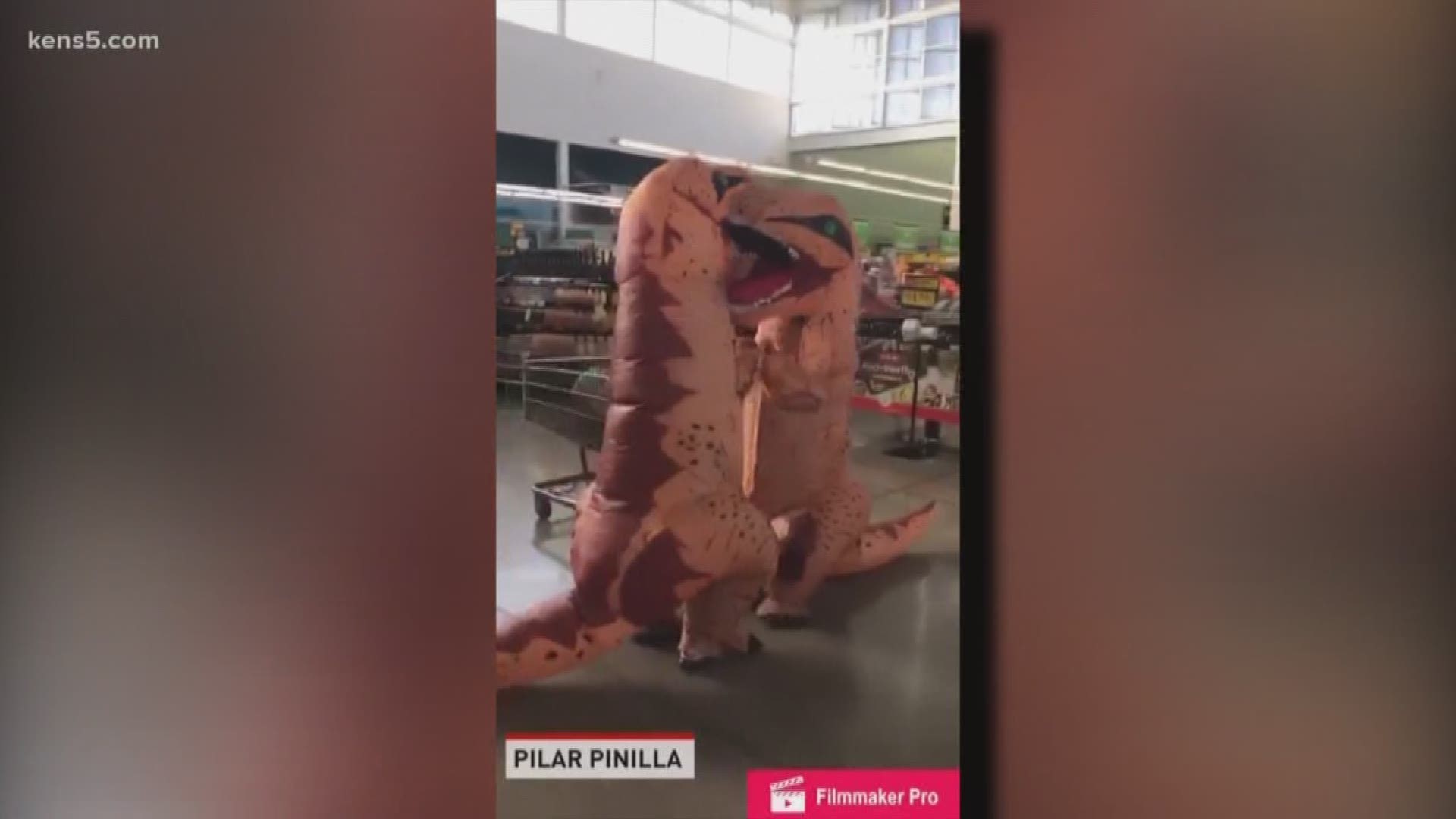While long lines and empty shelves led to some stressed-out customers, a mariachi band and pair of dinosaurs decided to help lighten the mood at H-E-B.