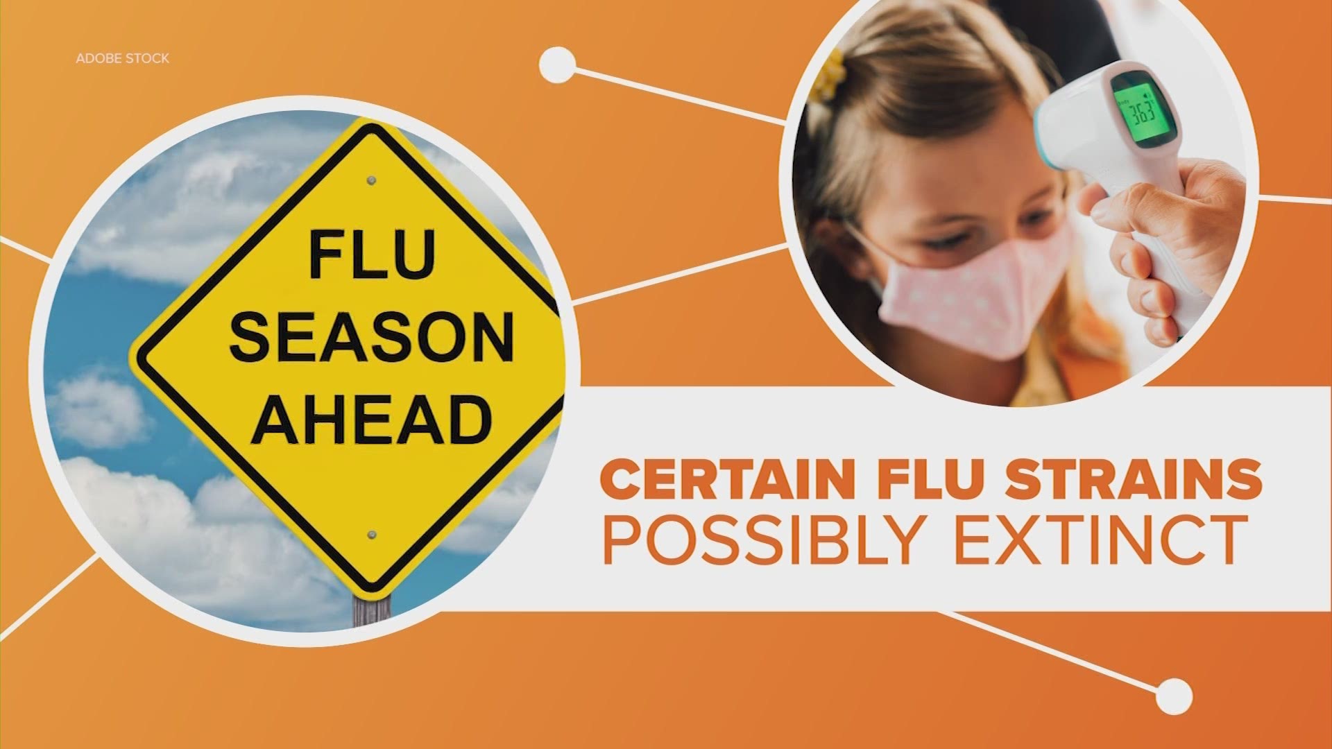 According to reports, there has been so little flu that a couple strains may have gone extinct during the coronavirus pandemic.