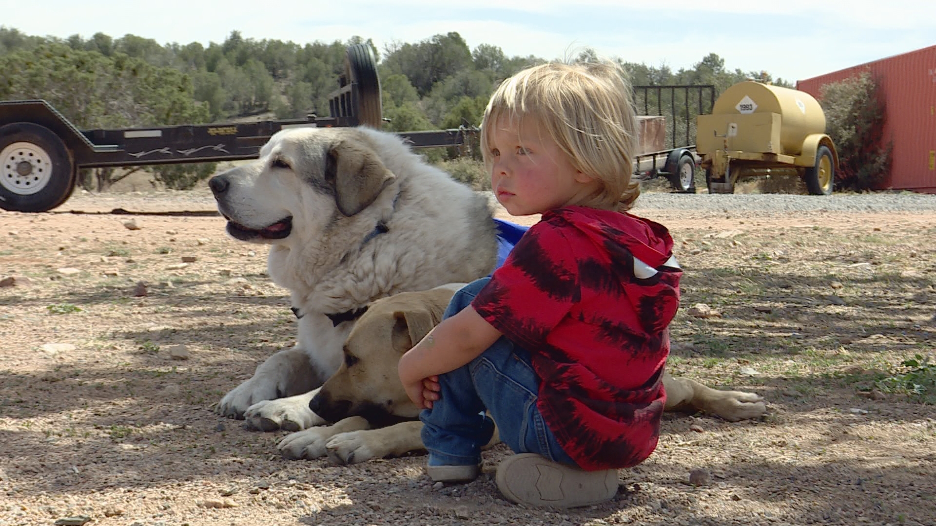Hero dog Buford rescues missing toddler in Arizona wilderness | wtol.com