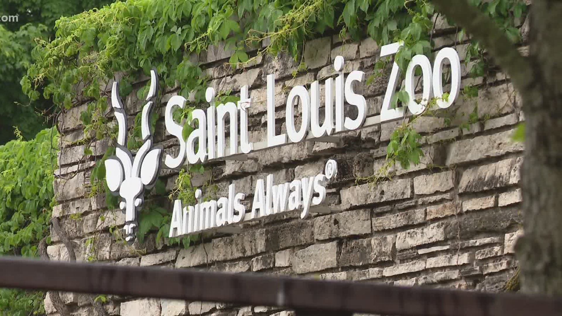 When does Saint Louis Zoo reopen? | www.semashow.com