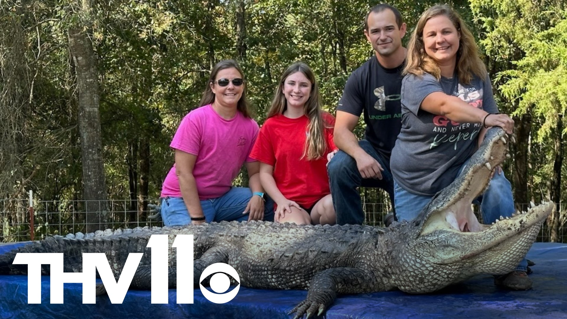 A woman in Arkansas and her unofficial Alligator wrangling team are celebrating after they made a huge catch last Friday night!