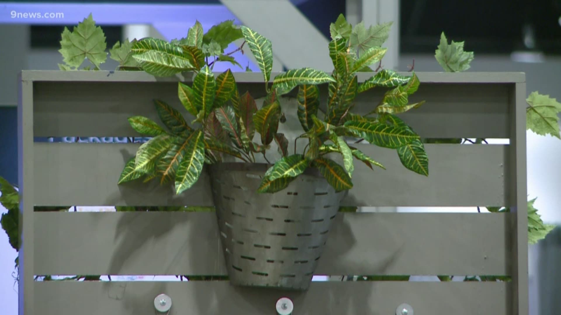 Colorado Garden & Home Show 2020 opens Feb. 22 | wtol.com