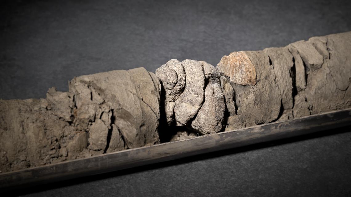 Dinosaur fossil discovered under Denver museum