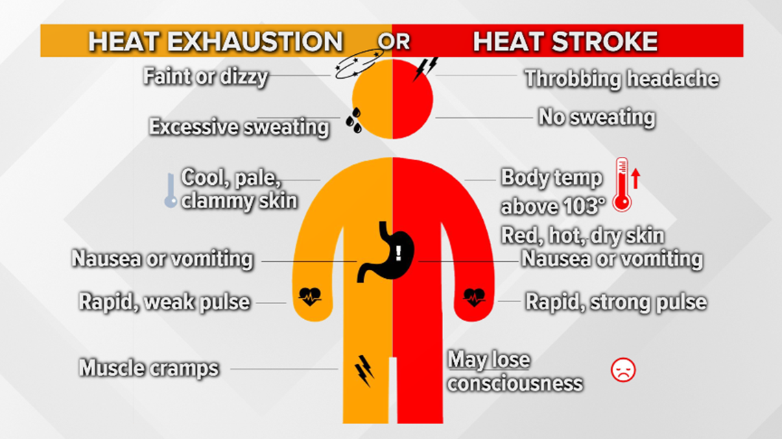 what-are-the-symptoms-of-heat-stroke-in-dogs