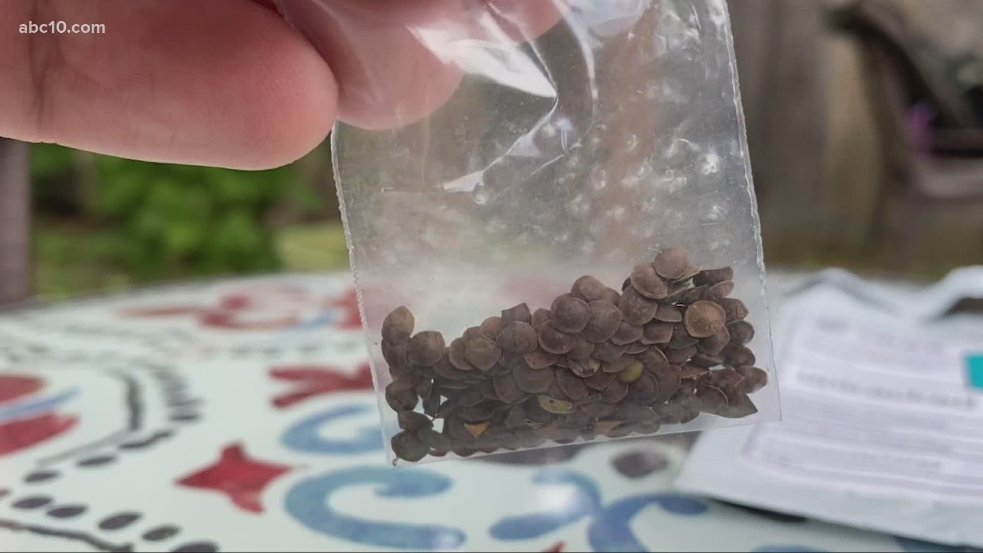 People across the country are reporting getting seeds they never ordered in their mailboxes. The USDA is testing them.