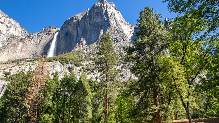 Yosemite closes over flooding threat as huge snowpack melts