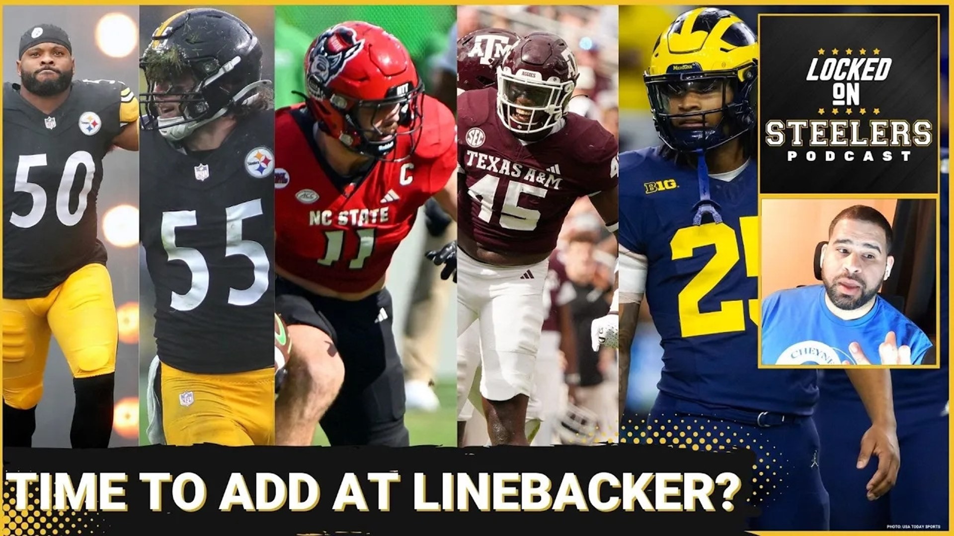 The Pittsburgh Steelers have several needs in the NFL Draft, but does that include linebacker?