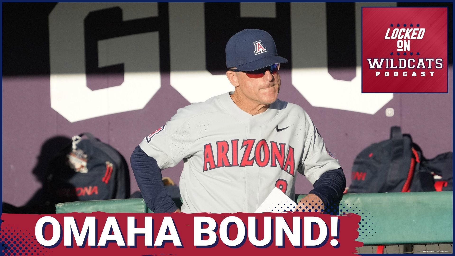 Chip Hale's Arizona Wildcats are off to the college world series. What are the chances of beating Coast Carolina and advancing to the championship?
