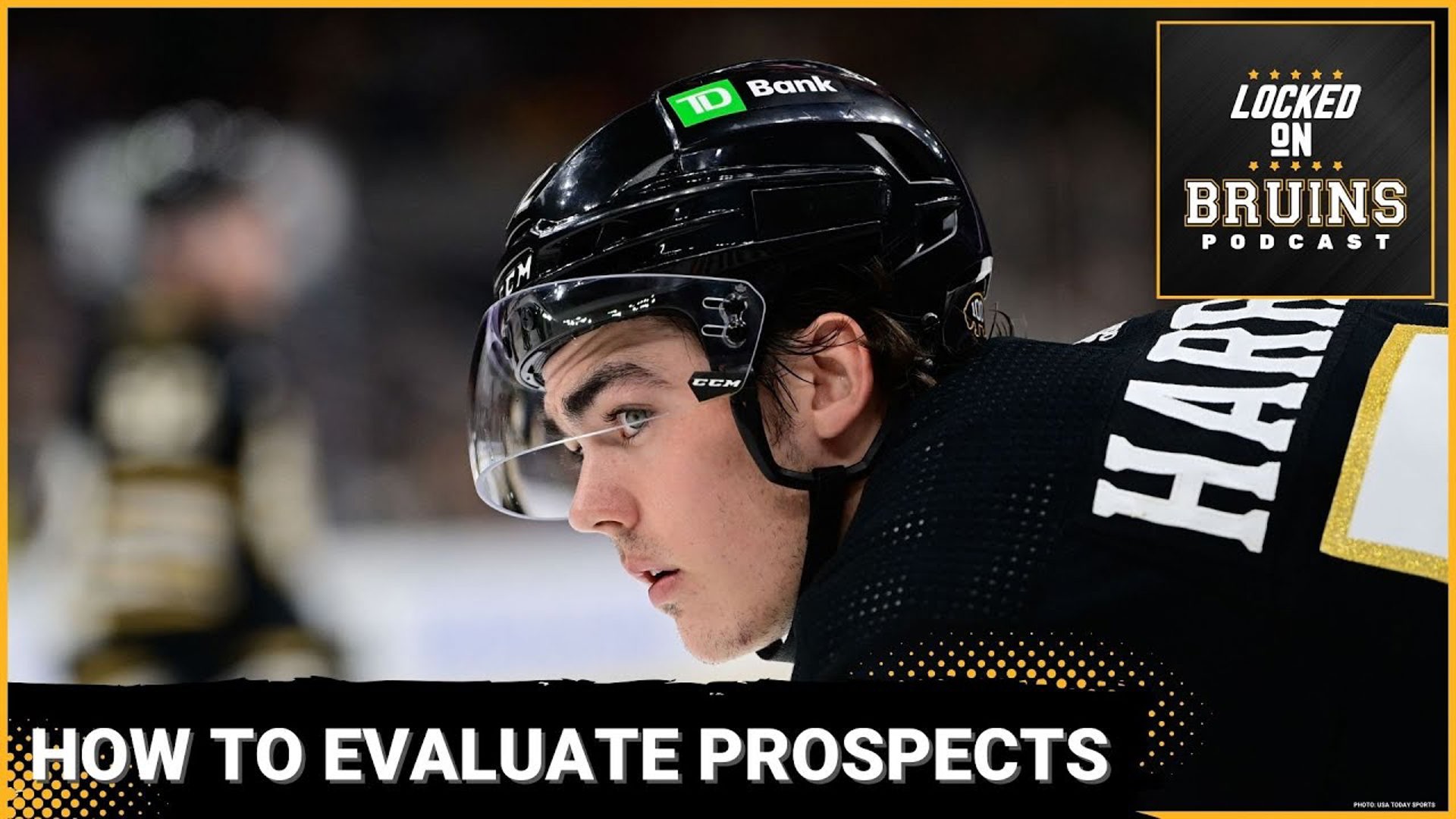 How to Evaluate Prospects + Daily Swayman Update