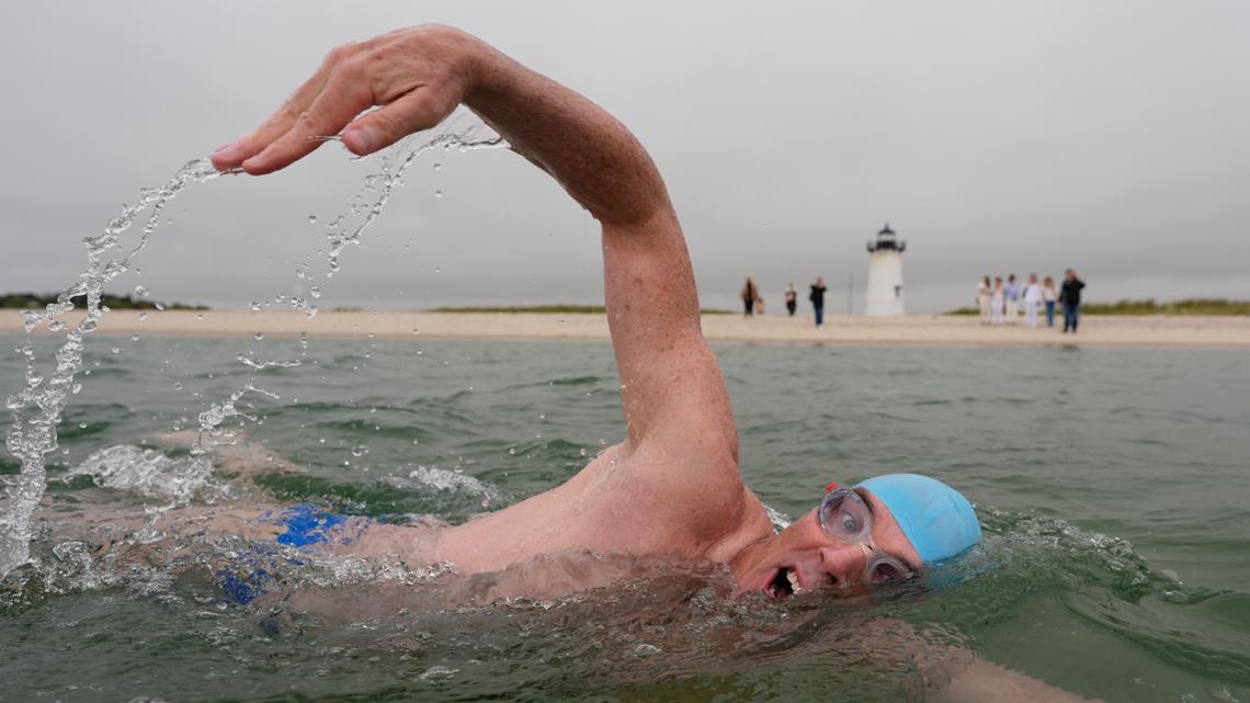 Man swims round Martha’s Winery forward of fiftieth anniversary of ‘Jaws’