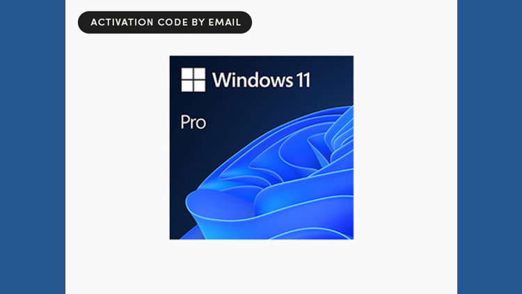 For one day only: Get Windows 11 Pro for life for $9.97 | wtol.com