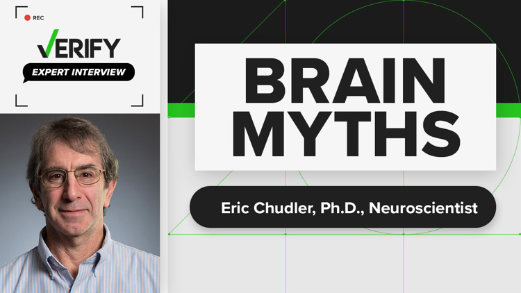 Examining brain myths like the belief that humans use only 10% of their brains | Expert Interview with Eric Chudler, Ph.D.