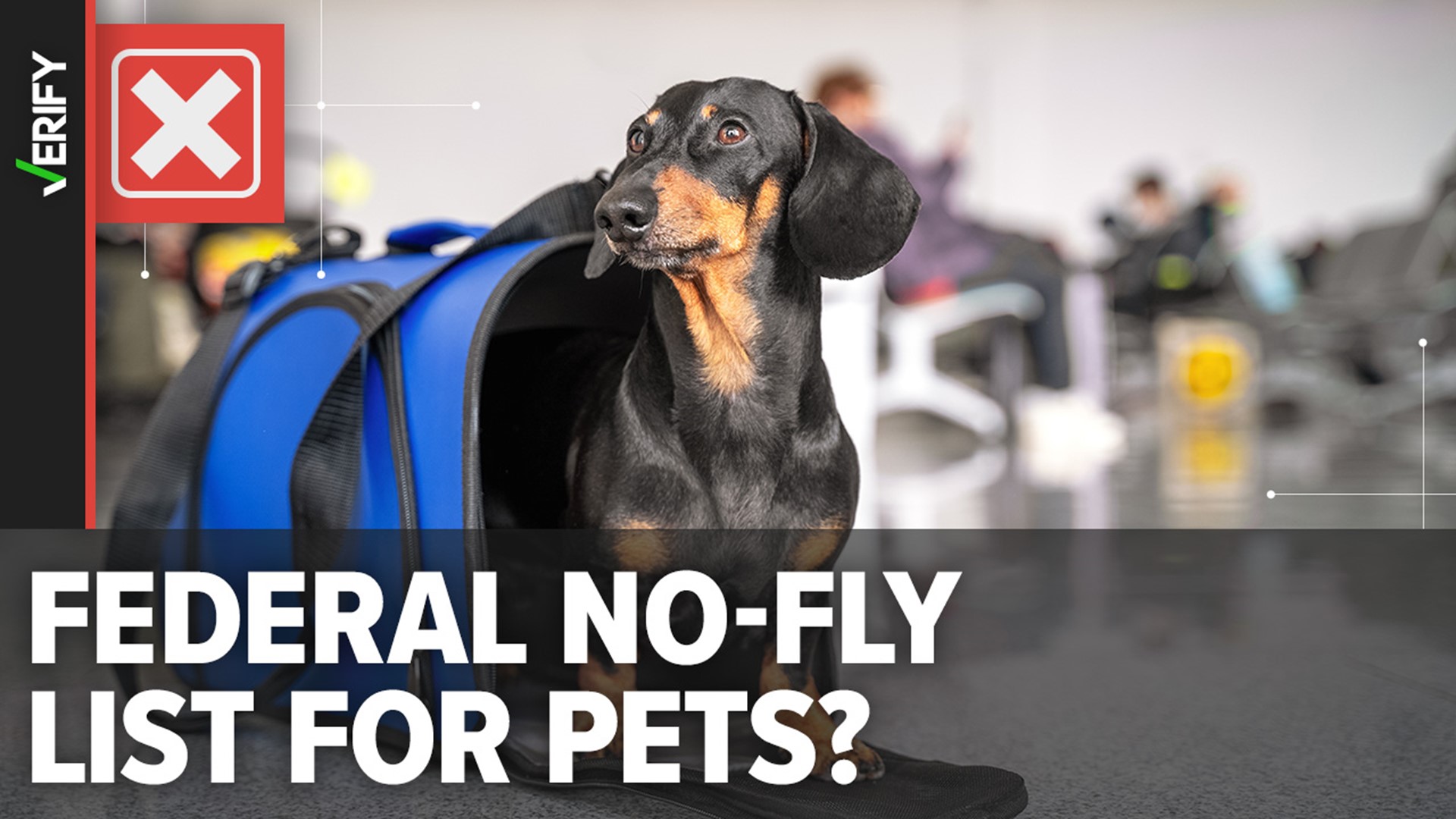Airlines can deny a pet from boarding at their discretion. However, there is not a no-fly list maintained by the FAA, despite claims from unhappy travelers.