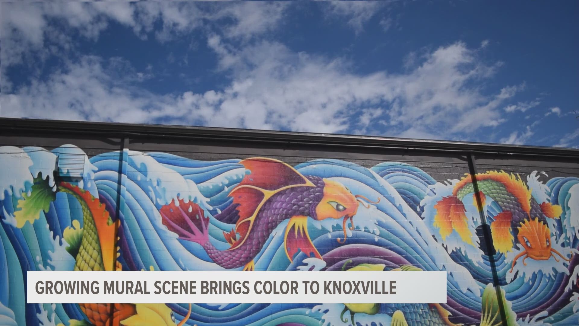 Murals are popping up all over the city, which is in part due to one artist who works overtime to fill Knoxville with color.