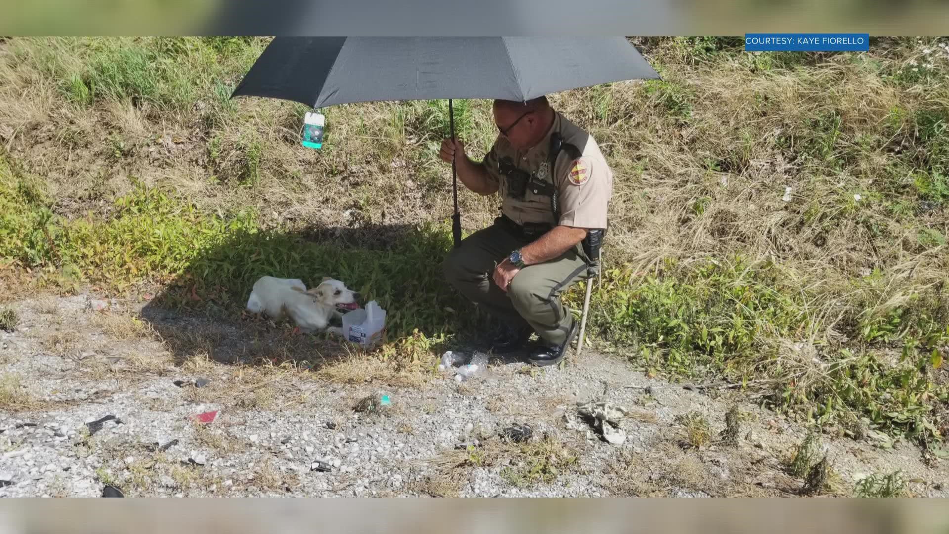 The trooper gave the dog water and Little Debbie cakes, using an umbrella for shade.