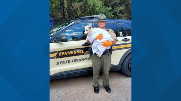 Tennessee trooper adopts dog he rescued from extreme heat