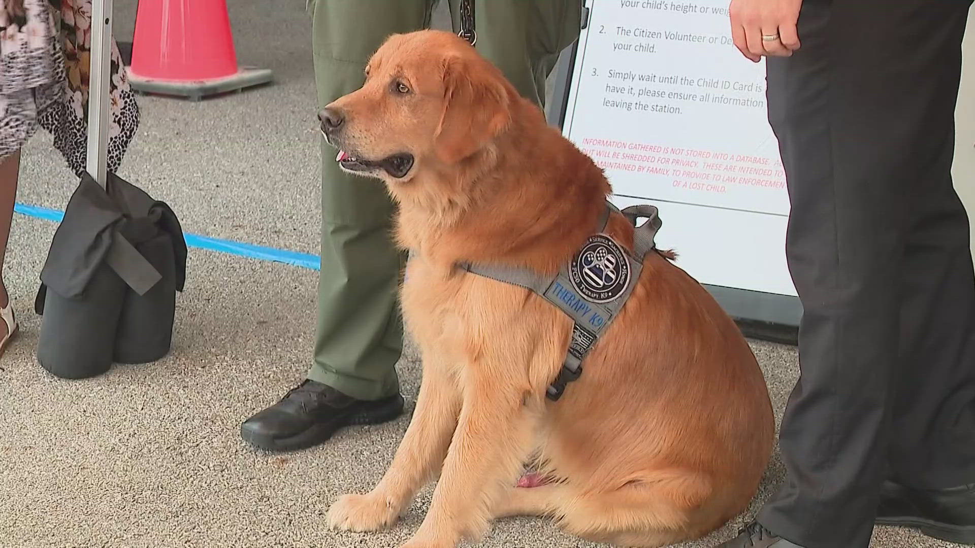 The sheriff’s office said Sunny finished his training and is ready to work.