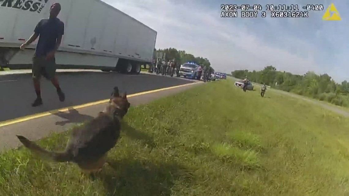 Charges against man mauled by Circleville K-9 could be dropped - Vimarsana News