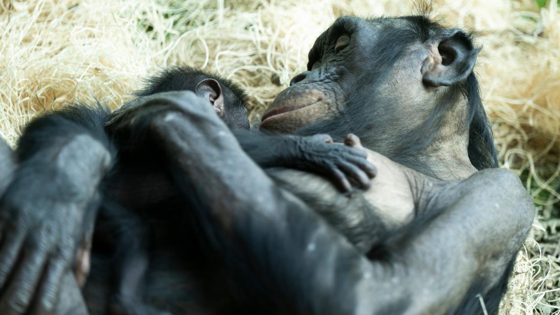 Brewing Locally Image