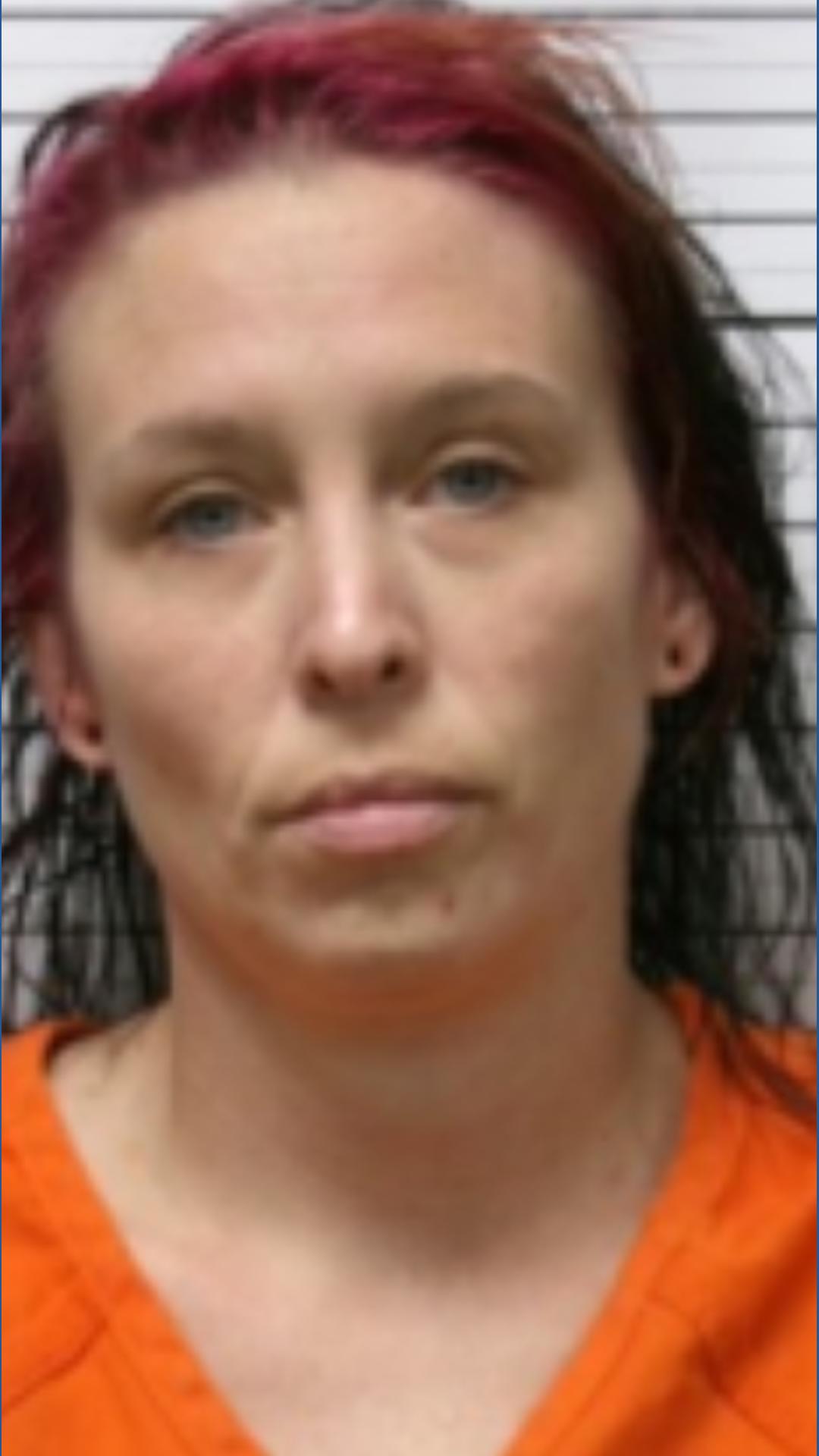 Ohio mother sentenced for dog attack that left infant dead | wtol.com