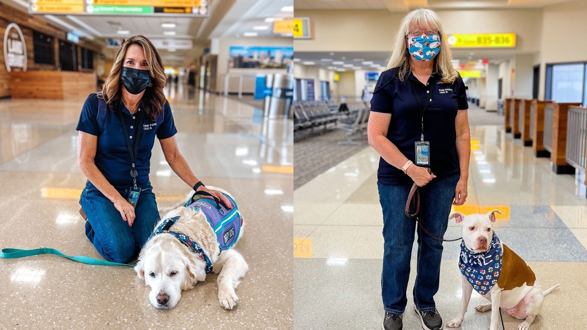 Would you like to have a team of canines greet you the next time you fly out of John Glenn Columbus International Airport? Well, these pups can help!