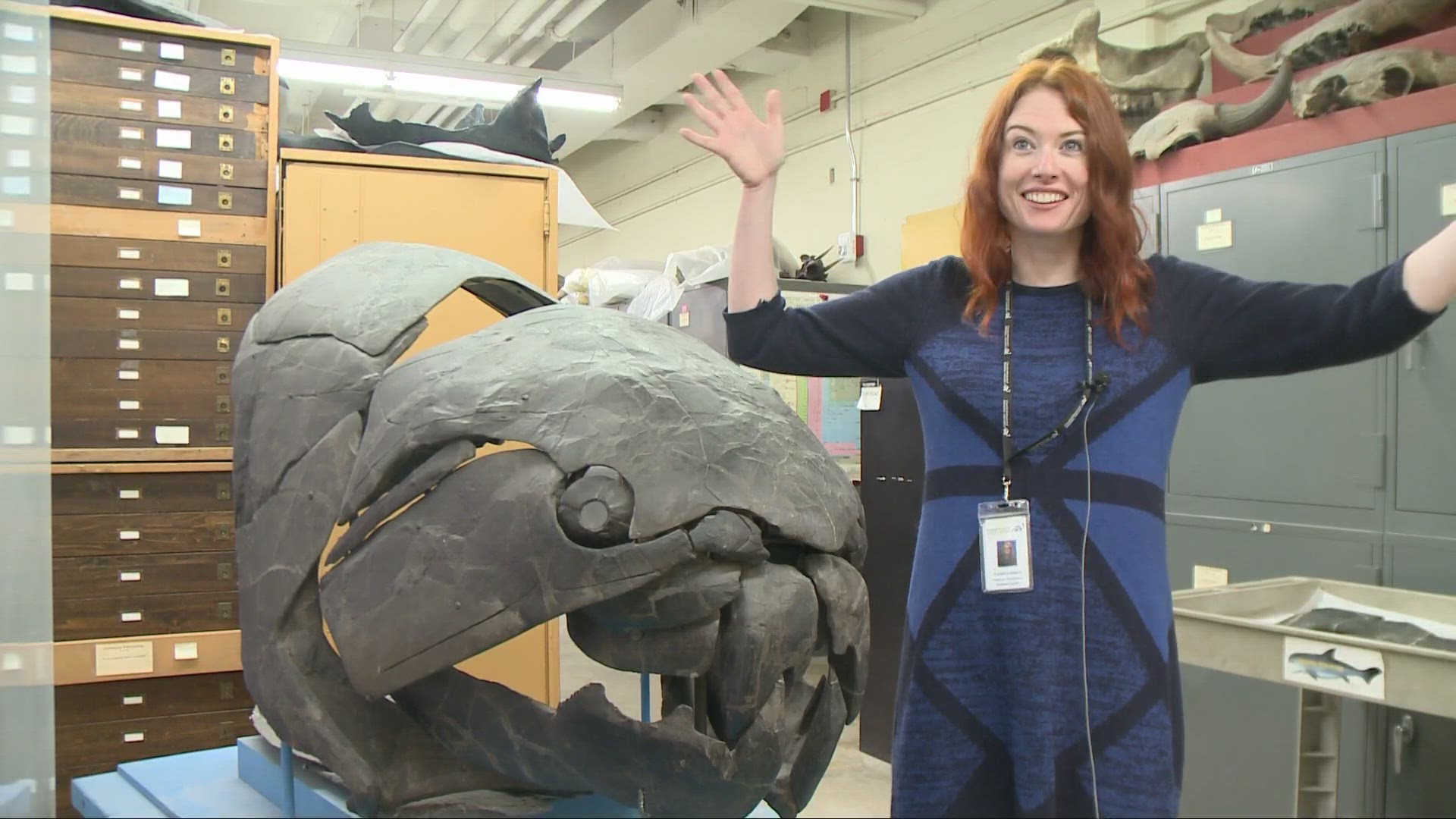 New research disputes the estimated size of Ohio's state fossil fish.
